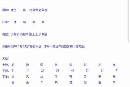 八字排盘软件下载与命理解析全攻略