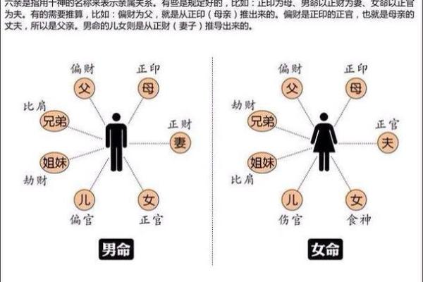 子女孝顺八字的命理解析与家庭关系调和秘诀