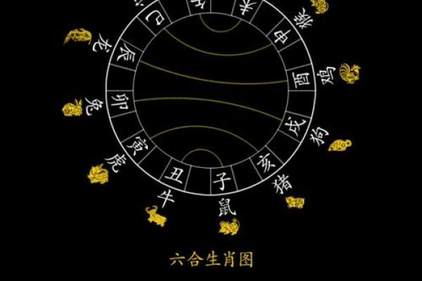 兔生肖与其他生肖的相合与相冲解析
