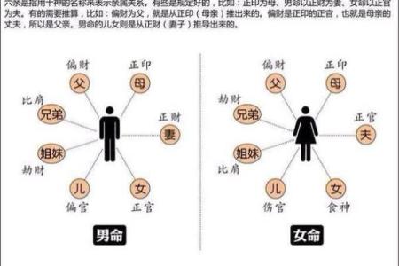 子女孝顺八字的命理解析与家庭关系调和秘诀