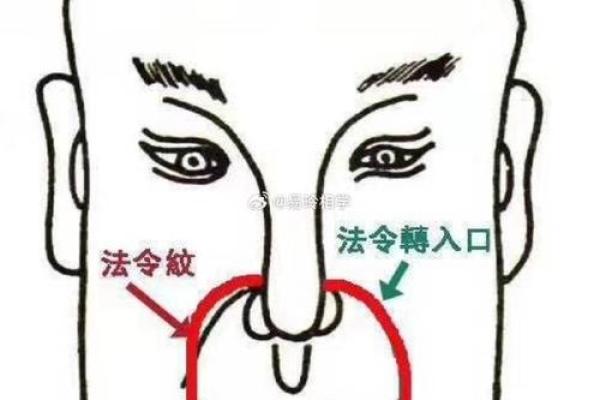 法令面相解析：面部纹路如何影响个人运势与性格特征