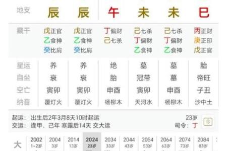 喜命的含义与特点解析