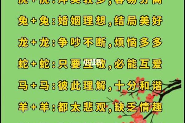 三十岁属相解析：属什么生肖？