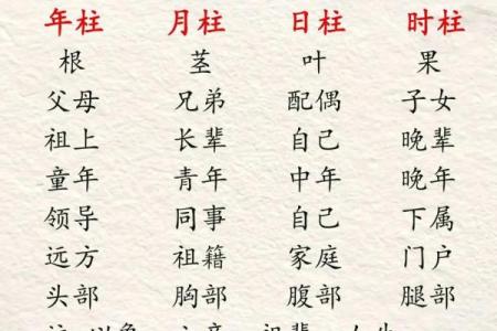 命理与：如何迎接人生的重要过渡期