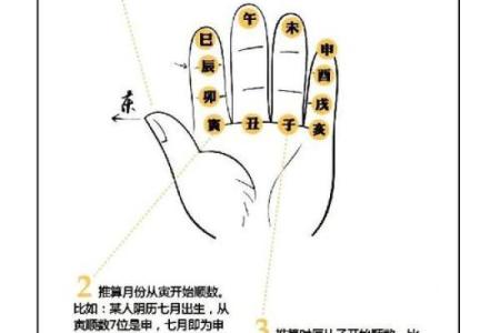 生辰八字的含义及其在命理学中的重要性解析