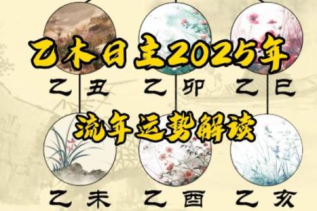 如何通过木子命理破解人生运势