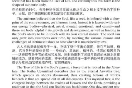 探索人生命运的奥秘与哲学
