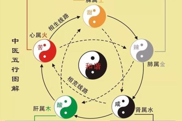 健字的五行属性解析及其在命理中的意义