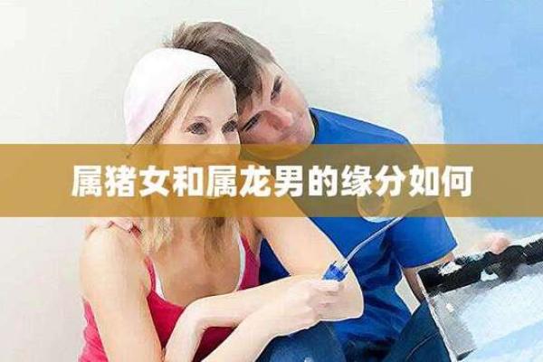 属龙女与属猪男的爱情故事：性格差异和默契分析