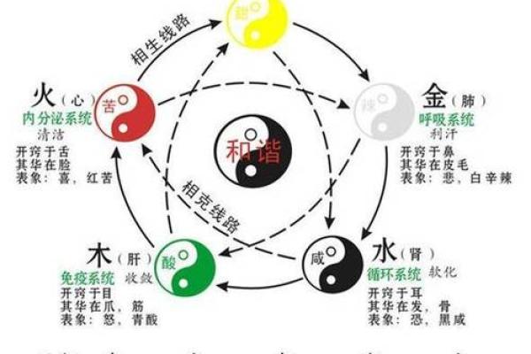 佳五行所属的具体分析及其意义探讨