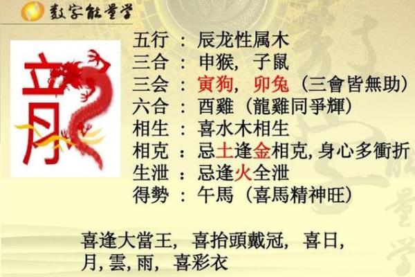 龙的五行属性解析及其在命理中的影响
