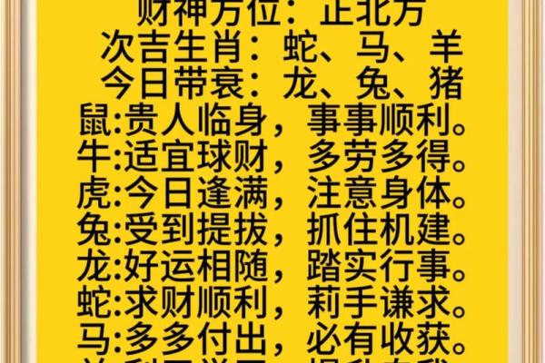 生肖运势如何影响你的事业与健康，专家分析必看