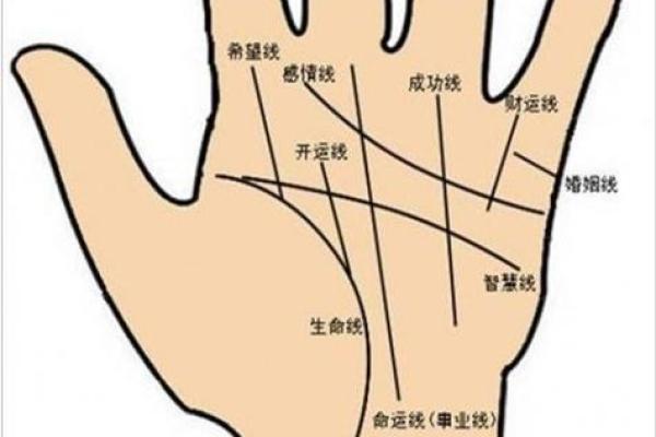 探索手相十斗：每个手掌线条背后的命运密码