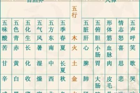 燊字五行属性解析及其在命理中的应用