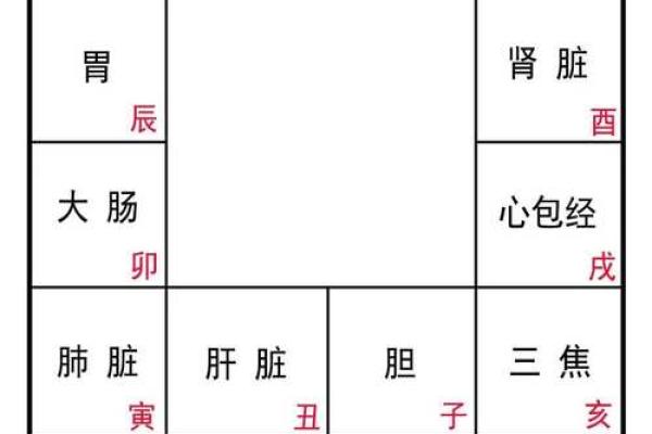斗数在线排盘：轻松了解个人命运与运势变化