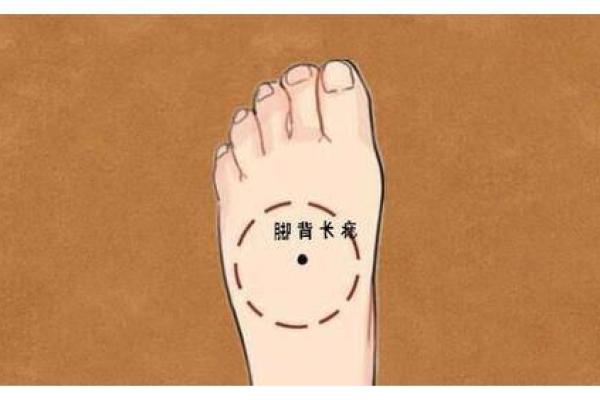 探索脚面痣相的吉凶，了解它对人生的深远影响