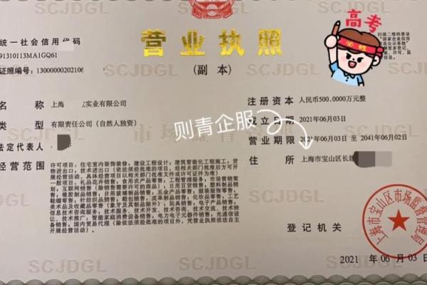 公司注册时名称查询的重要性与实用技巧