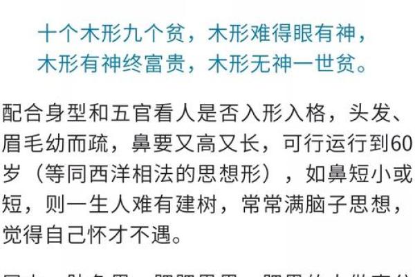 五行面相揭秘：如何从面相看你的五行属性与命运走势