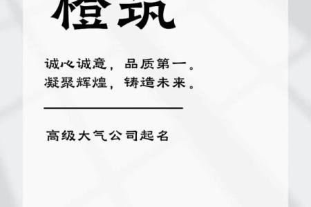 公司注册起名查询流程解析，助你顺利开设新公司