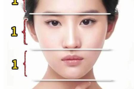 面相年龄对比：年轻与成熟的面部特征