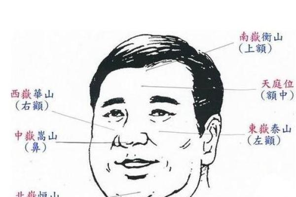 男人好面相的五大特征揭秘