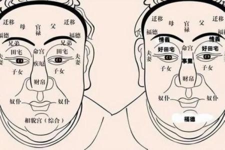 男人好面相的五大特征揭秘