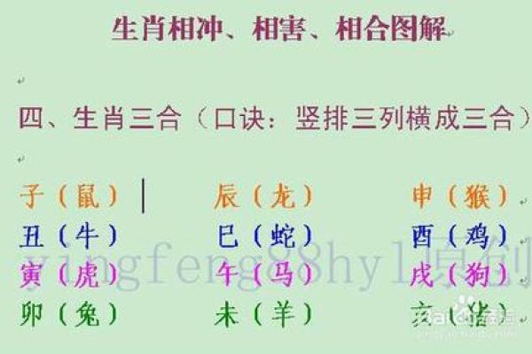 十二生肖相生相克对人际关系的影响