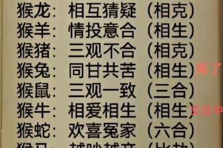 属兔与属猴的爱情关系是否长久
