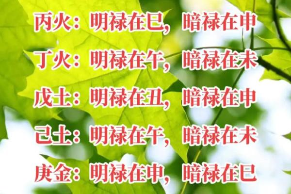 福禄之命的含义与人生影响解析