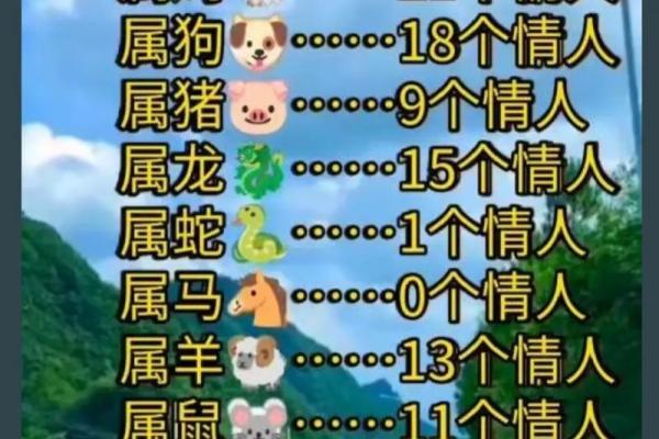 十二生肖鸡与其他生肖的关系与影响