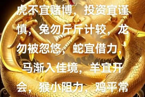 今日鼠运势解析：如何把握机会迎接好运