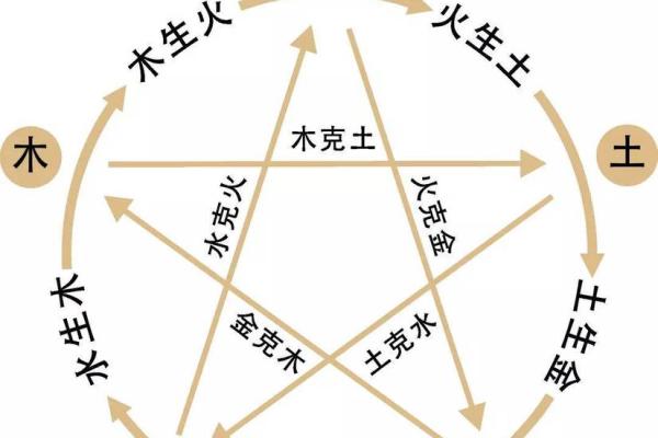 五脏六腑与五行相生相克的深层联系解析