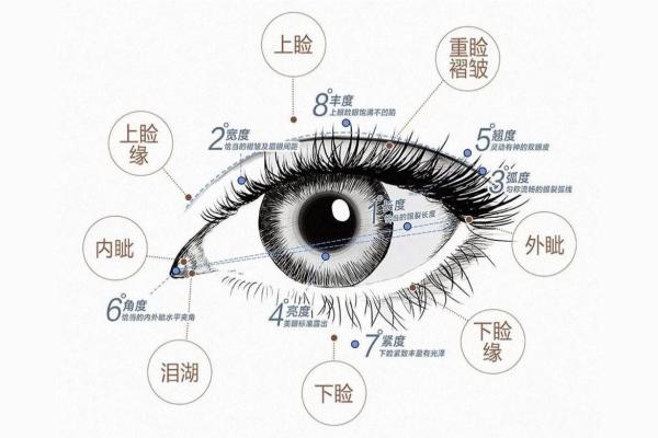 如何从小眼睛面相看出你的潜力