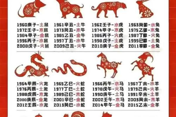 什么是金木水火土命及其对命运的影响