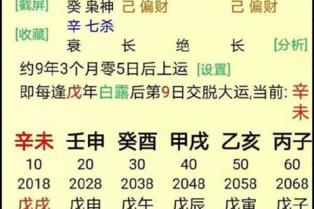 巳时天干的命理解析与运势影响
