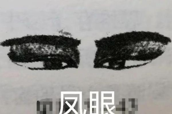凤眼面相在命理中的重要性与解析