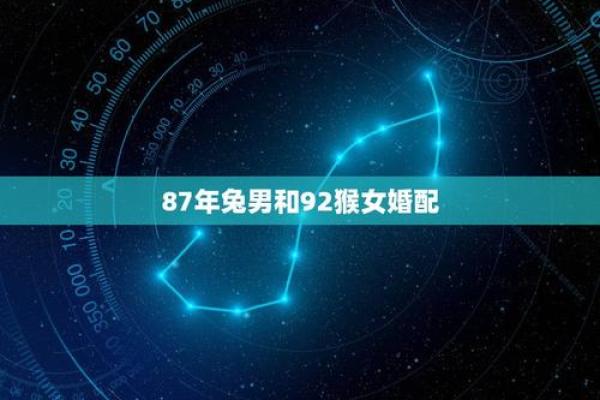 属兔和属猴的配对优势与挑战