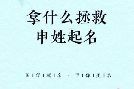给宝宝取名字：如何根据爸爸姓申为孩子起个有意义的名字