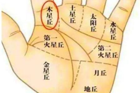 手相学解析：女生如何通过手纹掌握财富命运