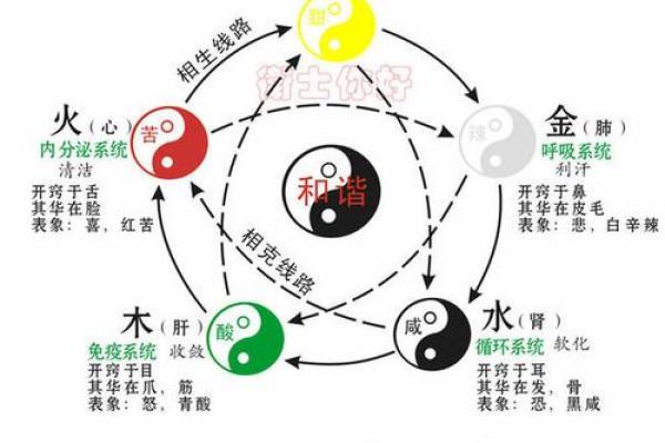 从五行命理看金木水火土命的独特含义