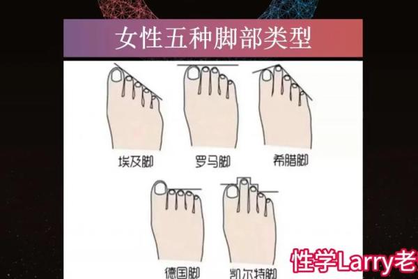 脚型与运势：如何通过脚型识别富贵命女性