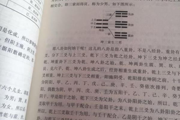 译字五行属性解析及其深层含义