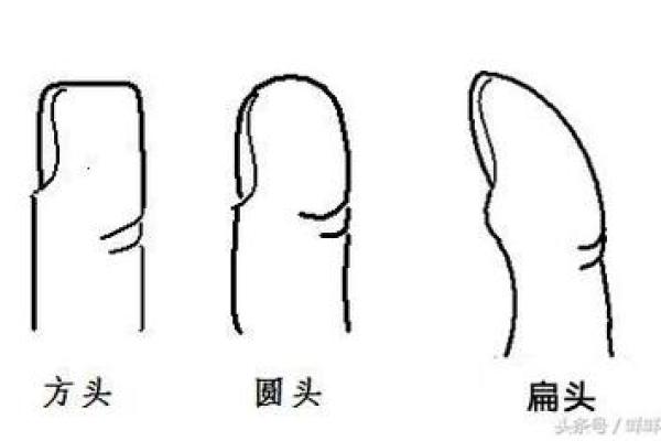 握拳手相解析：揭示内心力量与决心