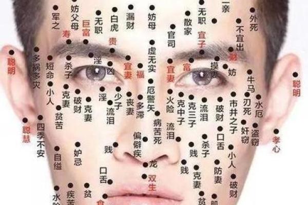 短下巴面相特点及其对生活的潜在影响