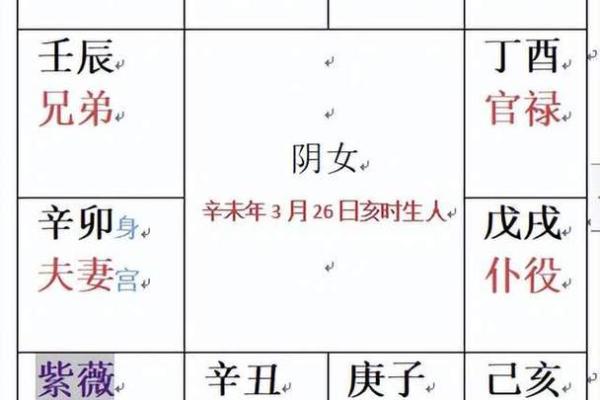紫微斗数排盘解读技巧与方法解析