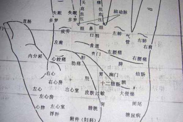 看手相在线测试：揭开你生命中的秘密