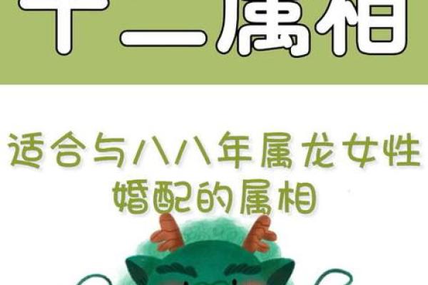 属龙男与属马女婚姻是否理想？从生肖角度分析配对情况