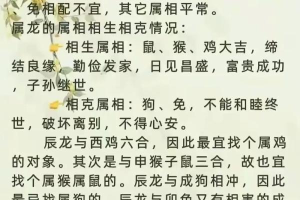 属龙男与属马女婚姻是否理想？从生肖角度分析配对情况