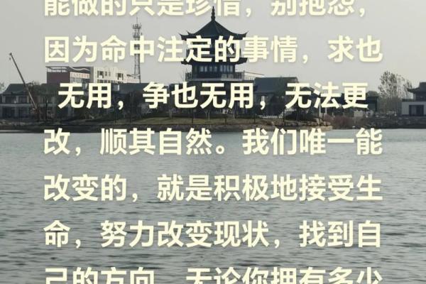 天财入库之命：解析命理中的财富积累与命运走向