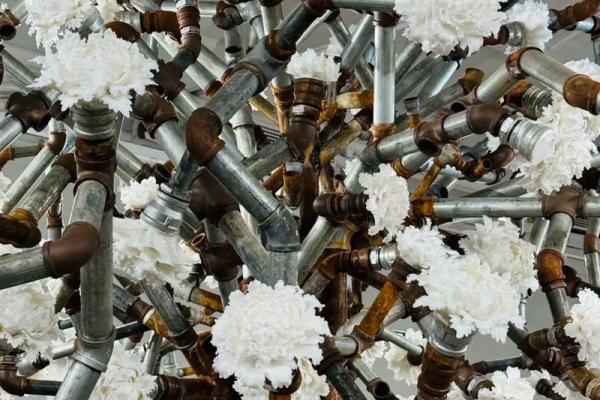 铁树开花之命的命理解析与现实启示